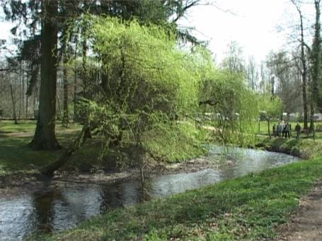 Niederkrüchten : Die Schwalm in der Nähe der Pannenmühle